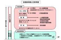 「日本初の「自動車保険」は今から110年前に始まった【今日は何の日？2月14日】」の3枚目の画像ギャラリーへのリンク