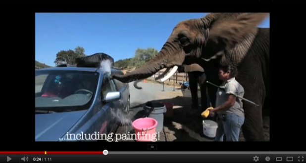 「【動画】象の洗車でサファリパークの楽しさ倍増！」の1枚目の画像