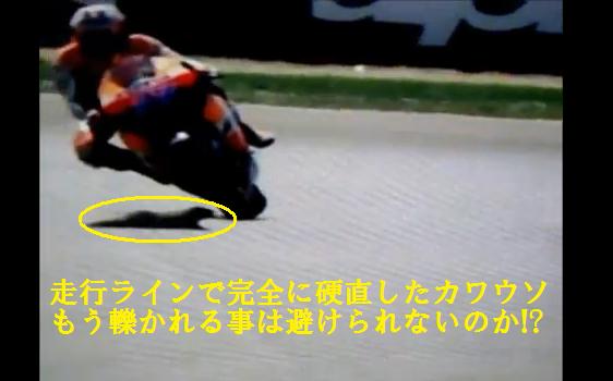 「【Moto　GP】危機一髪!!　カワウソが九死に一生を得た瞬間　【衝撃映像】」の1枚目の画像