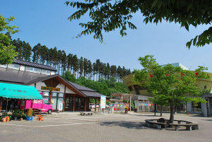 道の駅『ことおか』