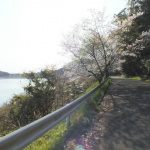 「【全日本ラリーへようこそ2012】Rd.1 ツール・ド・九州」の26枚目の画像ギャラリーへのリンク