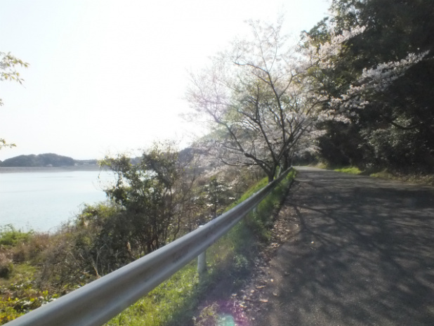 「【全日本ラリーへようこそ2012】Rd.1 ツール・ド・九州」の26枚目の画像