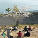 「【全日本ラリーへようこそ2012】Rd.1 ツール・ド・九州」の27枚目の画像ギャラリーへのリンク