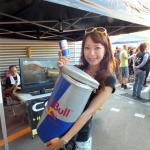 「カートレーサーに翼を授ける！【Red Bull Kart Fight 2012】」の10枚目の画像ギャラリーへのリンク