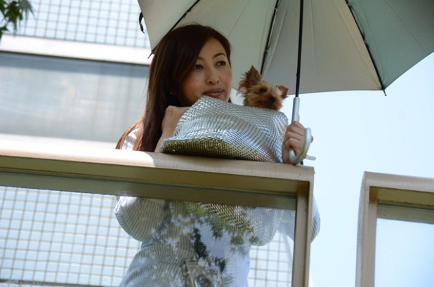 「吉田由美さんが愛するのはこのコです！ 超ローアングルもあり＾＾」の19枚目の画像