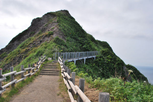 神威岬への道