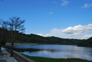 桜岡湖