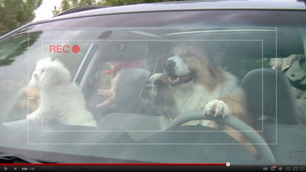 「【動画】アメリカ・スバルのCMが可愛すぎる！Dogシリーズ番外編【Dog tested. Dog approved.】」の1枚目の画像