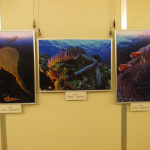 「沖縄の海に海外からのお客さんを！　」の5枚目の画像ギャラリーへのリンク