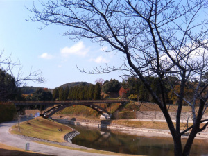 菊池川沿いの芝生公園