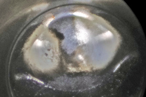 ガソリンタンクに入れるだけのお手軽な燃料添加剤って効果ある 用品テスト Kure パーフェクトクリーンdx Clicccar Com