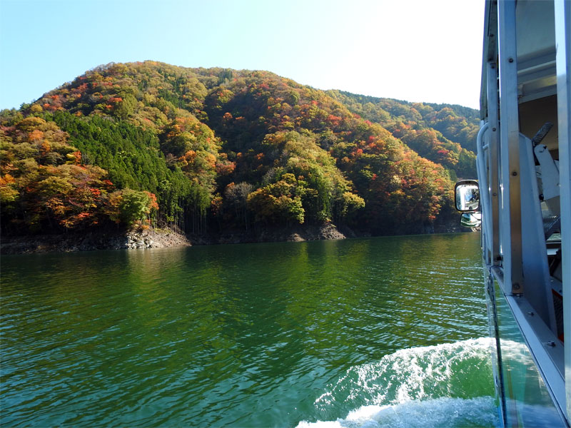 水陸両用バスでゆく 湯西川ダム湖探検ダックツアー 栃木 車中泊女子の全国縦断記 Clicccar Com